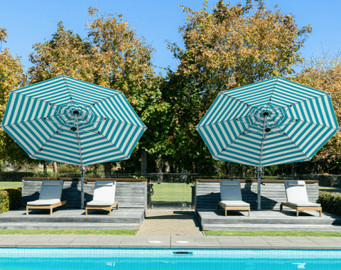 Acrylic Canvas – The Gold Standard