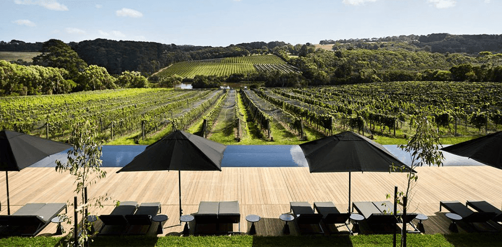 Polyester Canvas – Budget Friendly and Versatile